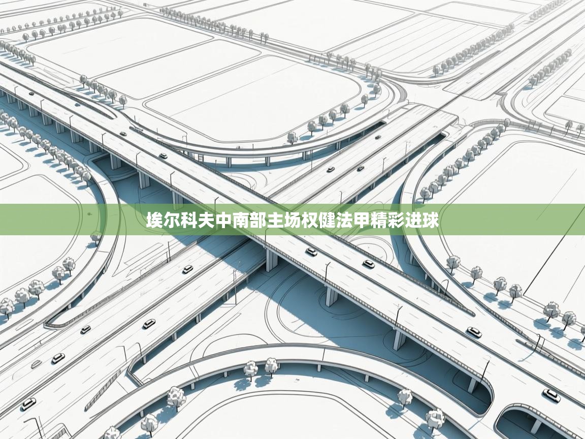 埃尔科夫中南部主场权健法甲精彩进球 第1张